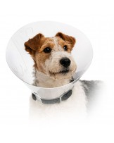 Collerette de protection pour animaux, à bouton-pression