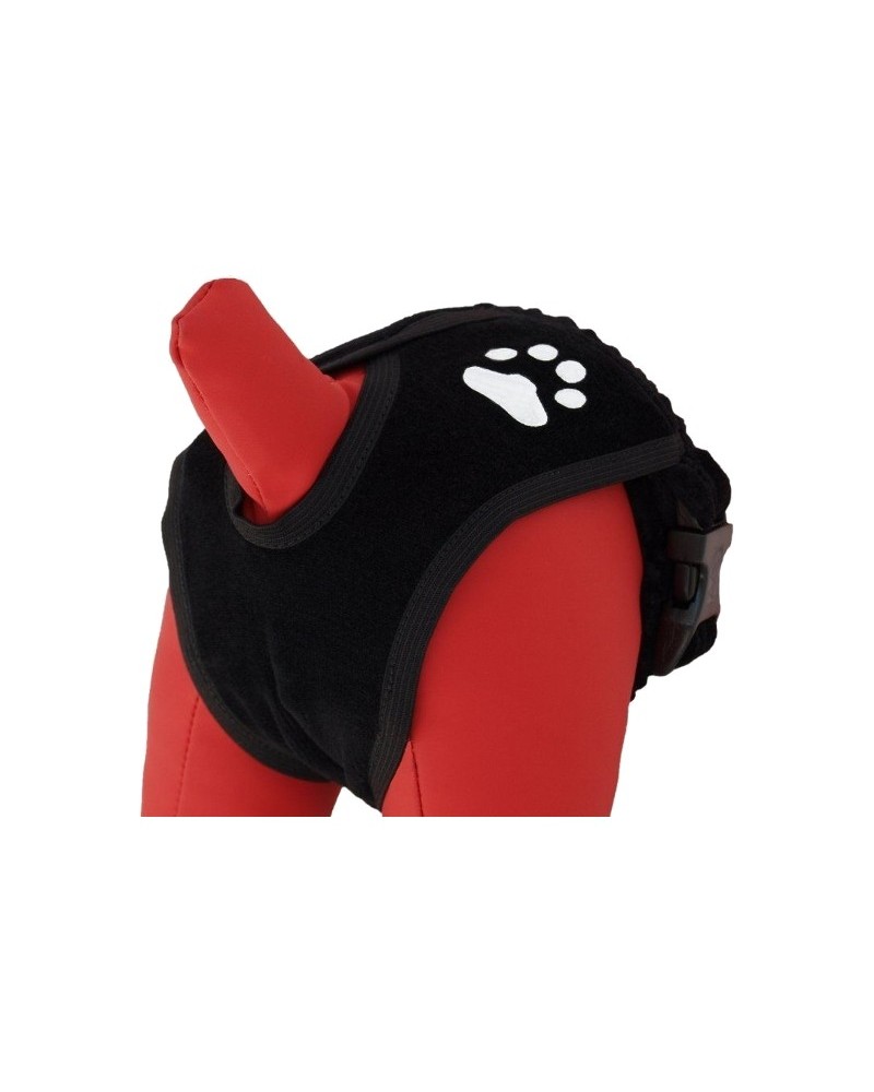 Culotte pour chien en chaleur