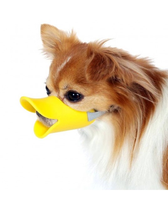 Muselière en bec de canard pour chien